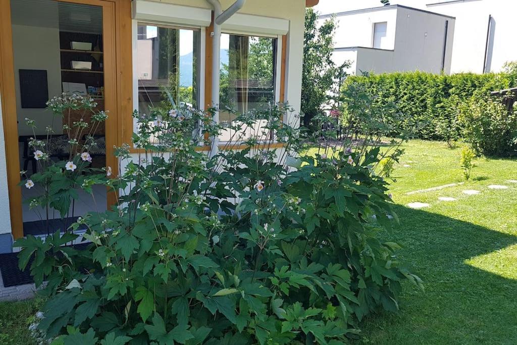 Wohnung Mit Balkon In Velden - Appartment Berge Bytilly Velden am Wörthersee Eksteriør billede